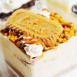 로투스 프로마쥬